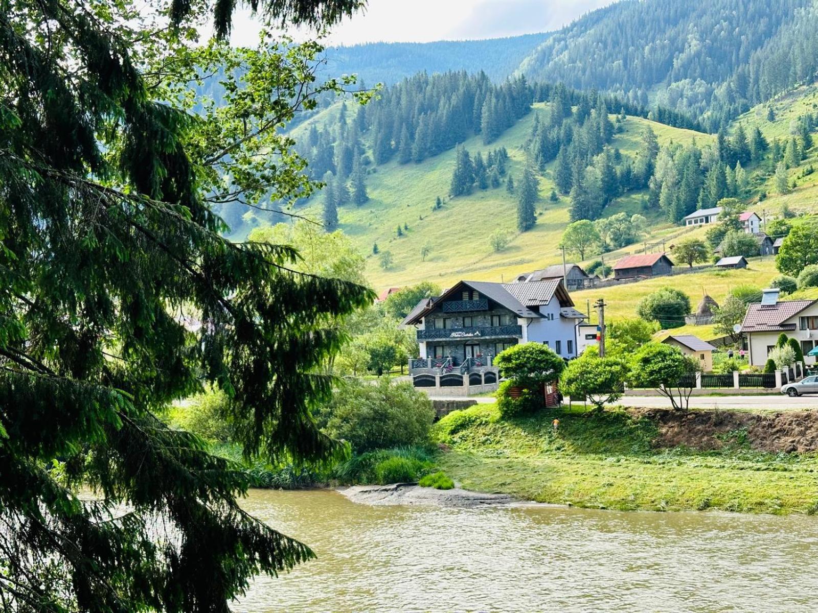 Hotel Piatra Codrilor Dorna-Arini Esterno foto